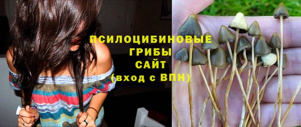 прущие грибы Майский